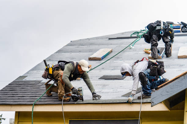 Professional Roof Repair technician working in Mansfield Center, MA